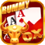 rummy bloc apk icon